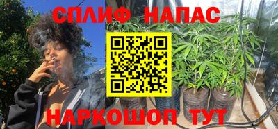 дживик Славгород