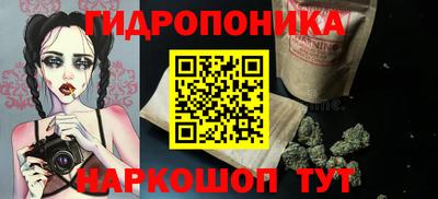 гидра Славянск-на-Кубани