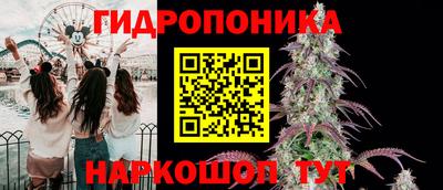 спиды Сланцы
