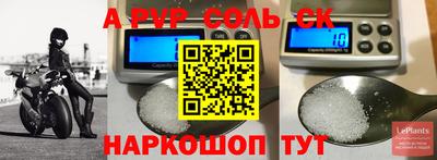 спиды Сланцы