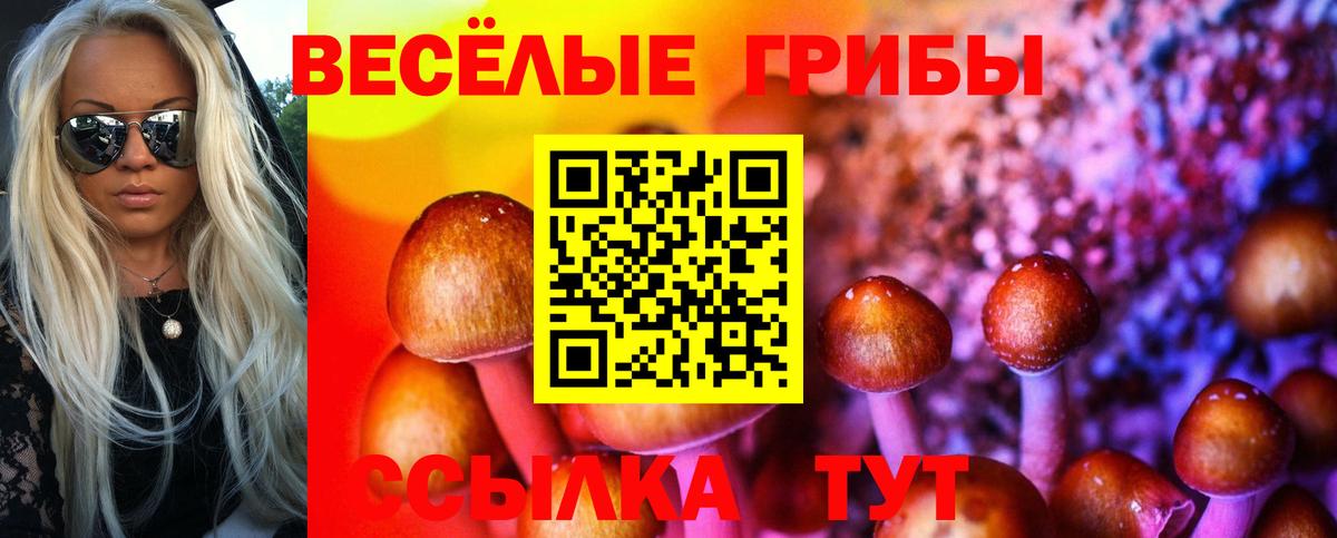 Псилоцибиновые грибы Cubensis  Галлюциногенные грибы Cubensis  Новошахтинск  Вход с VPN 